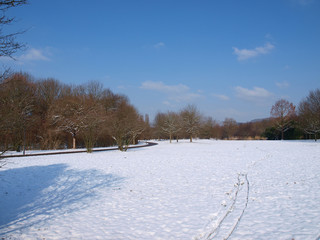 Lörrach Grüttpark im Südwesten Baden-Württembergs. Naturlehrpfad und Landschaftspark im Grütt mit kleinem See, wald, wiesen und Rosengarten