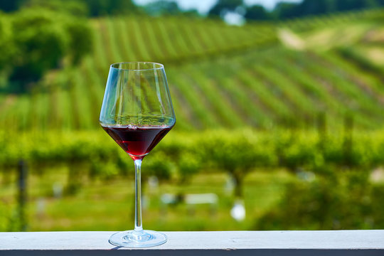 Fototapeta Glass of red wine and vineyards