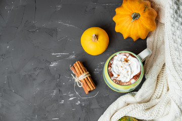 Spicy pumpkin latte with cinnamon and autumn leaves on a gray background