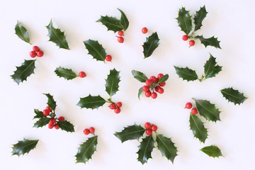 Christmas holly with red berries. Traditional festive decoration. Holly branch with red berries on...