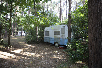 Abandon Caravans in the Forest