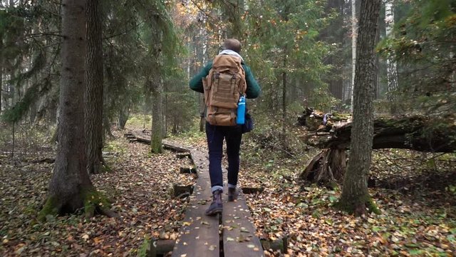 A middle-aged man with a backpack walking along an ecological natural educational trail through the northern autumn forest in a nature park in Finland. Slow motion