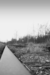 Tory kolejowe prowadzące do wojskowej składnicy tranzytowej Westerplatte. © A.Kwasowiec