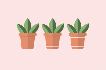 Vector of three square flower pots with succulent plants with simple striped design.