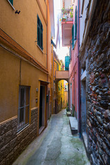Narrow street in a village of the 5 terres, Italy