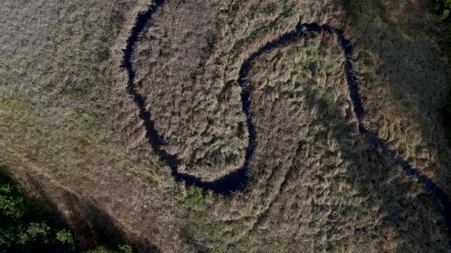 Winding creek in marshes, aerial view