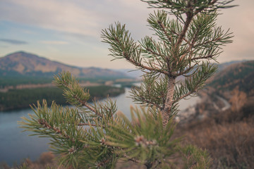 Autumn mountain forest landscape with roads and rivers