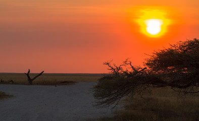 Sonnenuntergang in der Nähe vom Namutoni Camp