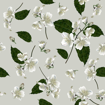 Seamless pattern with jasmine flowers.