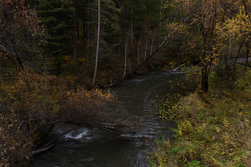 Autumn mountain forest landscape with roads and rivers