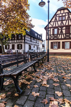 Autumn in Frankfurt, Germany