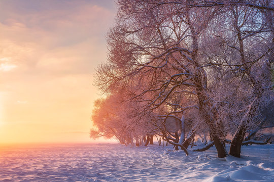 Winter wonderland at sunrise