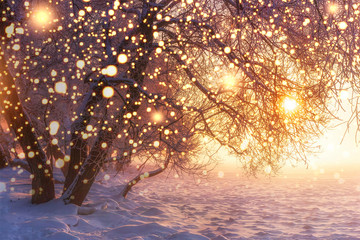 Christmas nature background with shining snowflakes