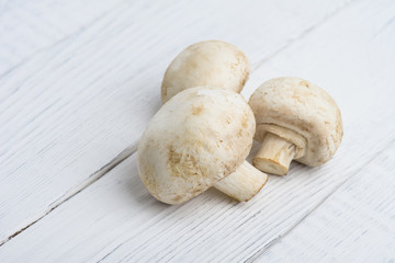 champignon with leaf lettuce