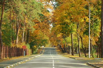 Obraz premium Autumn landscape with road and beautiful colored trees.