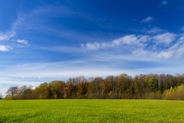 Autumn landscape with trees and lawn in the foreground.