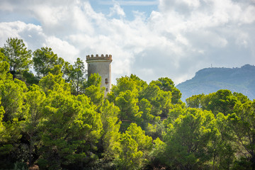 Mallorca, Reisen, Urlaub, Länder, Pflanzen, Abenteuer, Meer, Wasser, Strand, Reisen © BerndVollmer