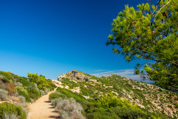 Naklejka premium Mallorca, Reisen, Urlaub, Länder, Pflanzen, Abenteuer, Meer, Wasser, Strand, Reisen