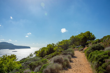 Mallorca, Reisen, Urlaub, Länder, Pflanzen, Abenteuer, Meer, Wasser, Strand, Reisen © BerndVollmer
