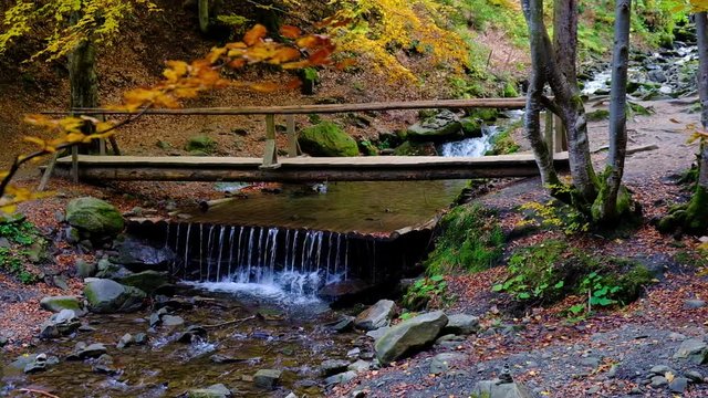 Autumn landscape with forest stream and wooden bridge. Fall colors woodland nature background.
