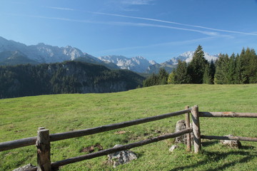 Alwiese im Hochgebirge