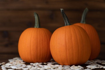 Pumpkins and seeds on wood