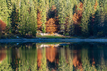 autunnale, paesaggio, natura, autunno, alberi, foresta, alberi, cielo, montagna, giallo, foglia, stagione, fogliame, foglia, parco, colorato, scenico, arance, azzurro, bella, colore, rosso, montagna, 