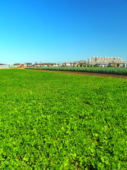 野原のある風景