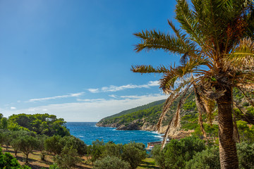 Fototapeta na wymiar Mallorca, Reisen, Urlaub, Länder, Pflanzen, Abenteuer, Meer, Wasser, Strand, Reisen