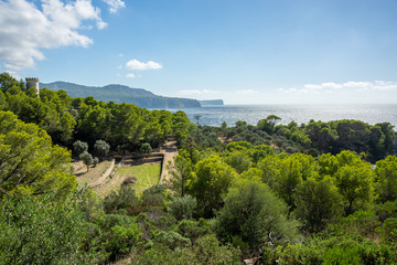 Mallorca, Reisen, Urlaub, Länder, Pflanzen, Abenteuer, Meer, Wasser, Strand, Reisen © BerndVollmer