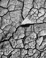 Сracked ground earth background. The global shortage of water on the planet.