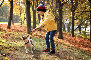 Naklejka na ściany i meble Cute little boy with his pet in autumn park