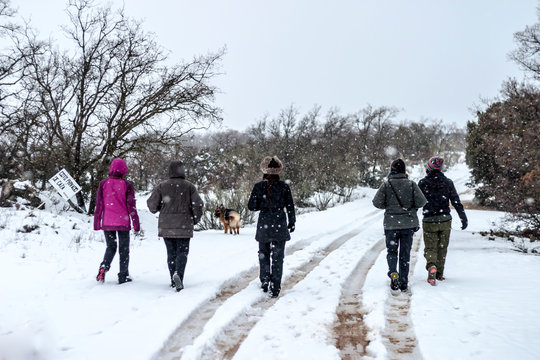Group of women on back taking a walk in the snow