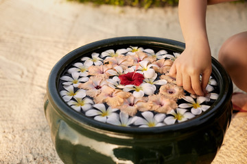 Woman makes decor arrangement in green bowl on the water of frangipani plumeria flowers. Isolated view of hands and floristic composition. Aroma spa concept.