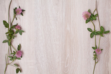 Clover on ф wooden background