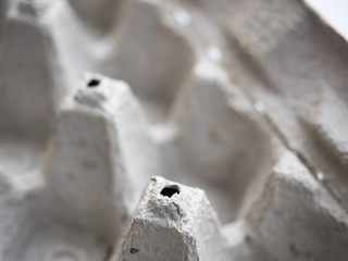 Detail von leerem Eierkarton