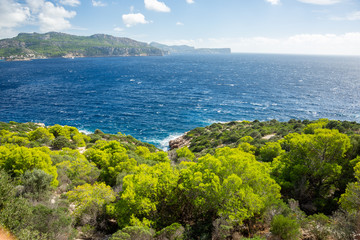Mallorca, Reisen, Urlaub, Länder, Pflanzen, Abenteuer, Meer, Wasser, Strand, Reisen © BerndVollmer