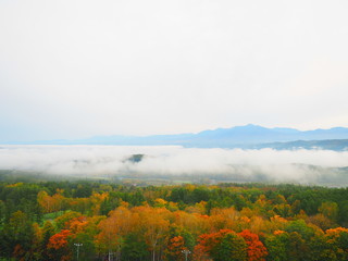 秋の富良野 雲海の風景