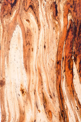 Abstract background for text or image. Ebru technique. Modern art. Marbled paper. Marbleized effect. Marble paper texture. Brown.