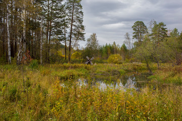 swamp on the white background
