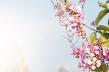 Blurred art artificial background of bright colorful flower on branch against light blue sky with copy space