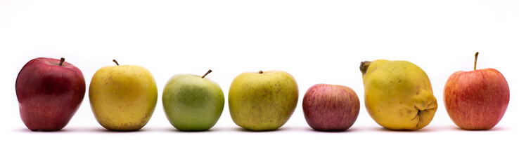 panoramic composition with seven different types of apples
