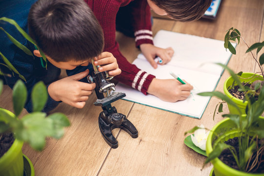 Closeup portrait of little boy using microscope on biology lesson