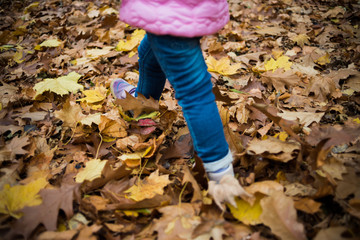 Fototapeta premium Child in the autumn park