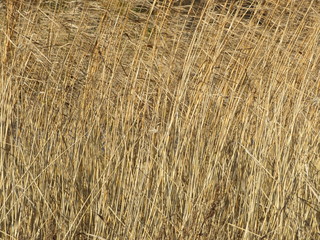background of straw