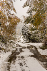 Beautiful path in the first autumn snow in Bordes de Envalira, Canillo, Andorra