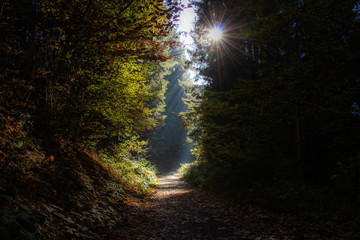 Obraz premium Herbst