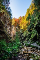 Autumn colors in mountains