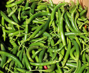 Pile of green peppers in a cardboard box for sale at a fall harvest fair
