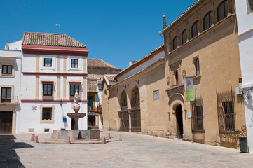 Fototapeta na wymiar Plaza del Potro, Córdoba, Andalusien, Spanien